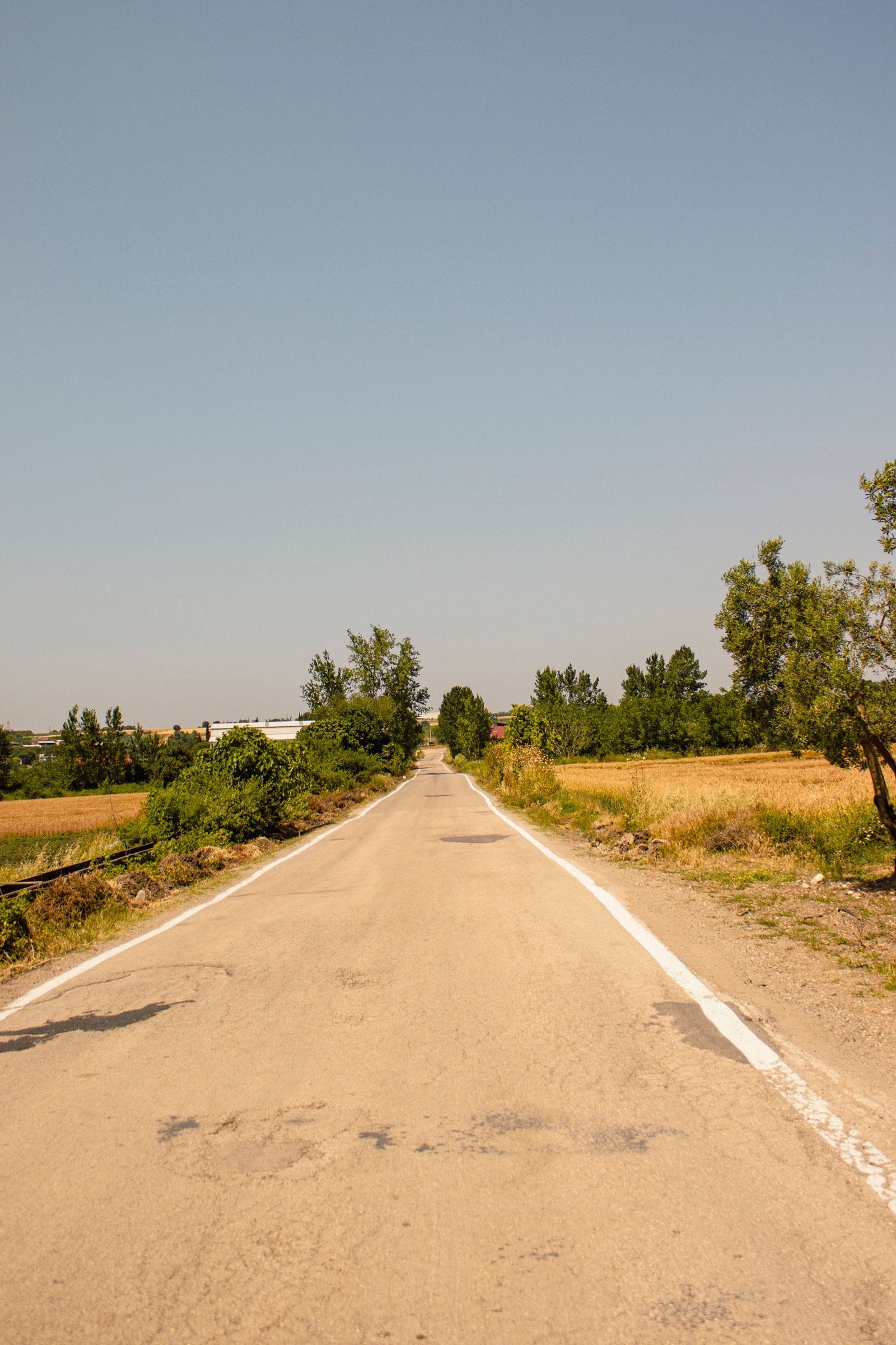Bursa Türkiye'de tarlalar ve ağaçlarla çevrili kırsal yol